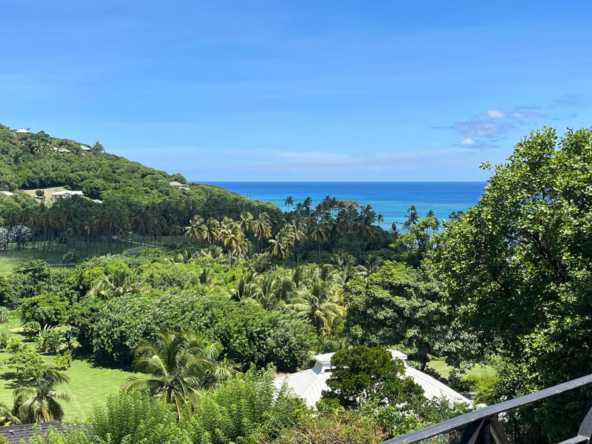 Firefly Estate Bequia 호텔 Crescent Beach 외부 사진