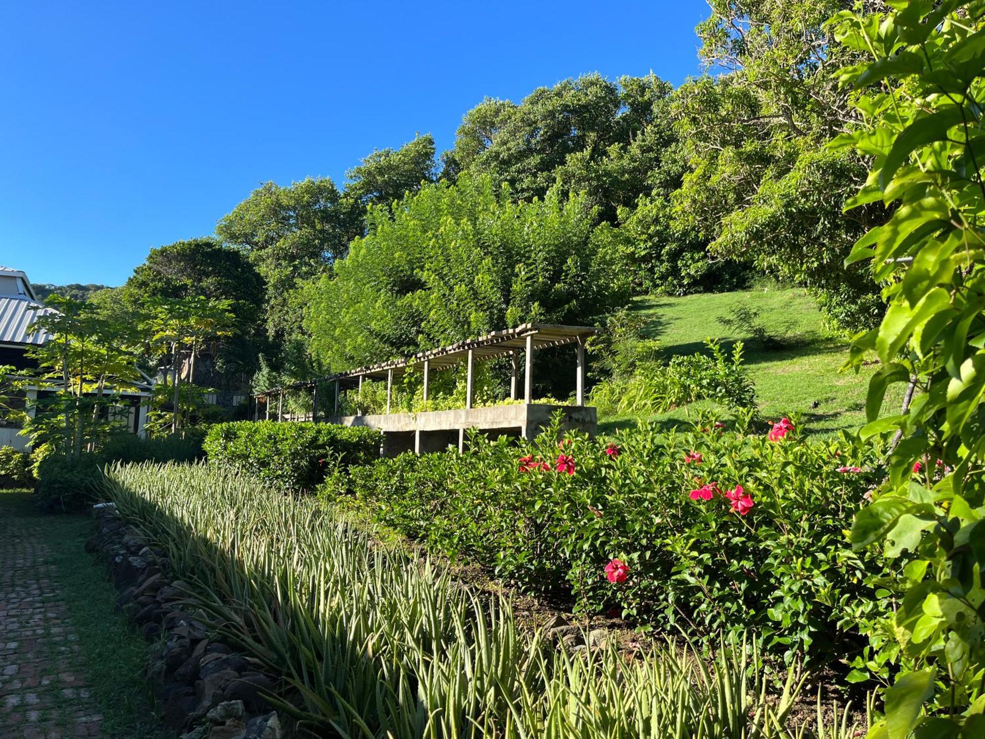 Firefly Estate Bequia 호텔 Crescent Beach 외부 사진