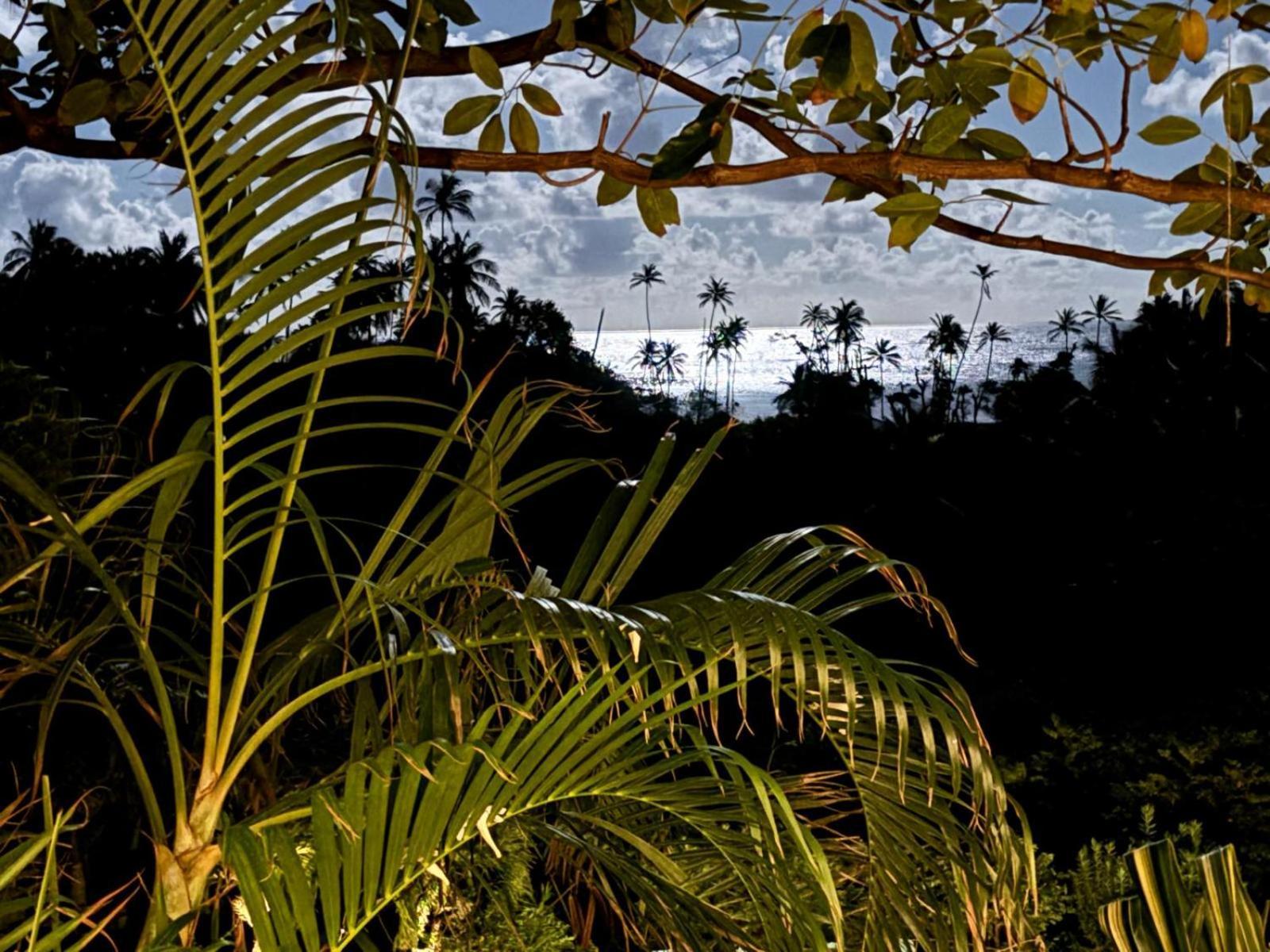 Firefly Estate Bequia 호텔 Crescent Beach 외부 사진
