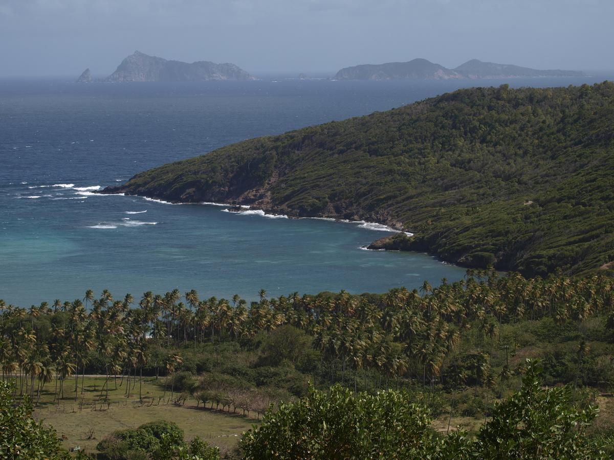 Firefly Estate Bequia 호텔 Crescent Beach 외부 사진