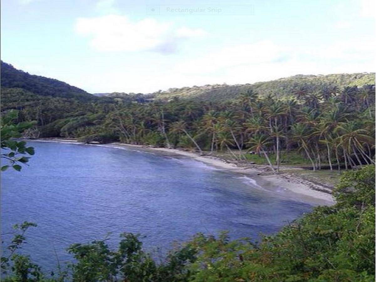 Firefly Estate Bequia 호텔 Crescent Beach 외부 사진