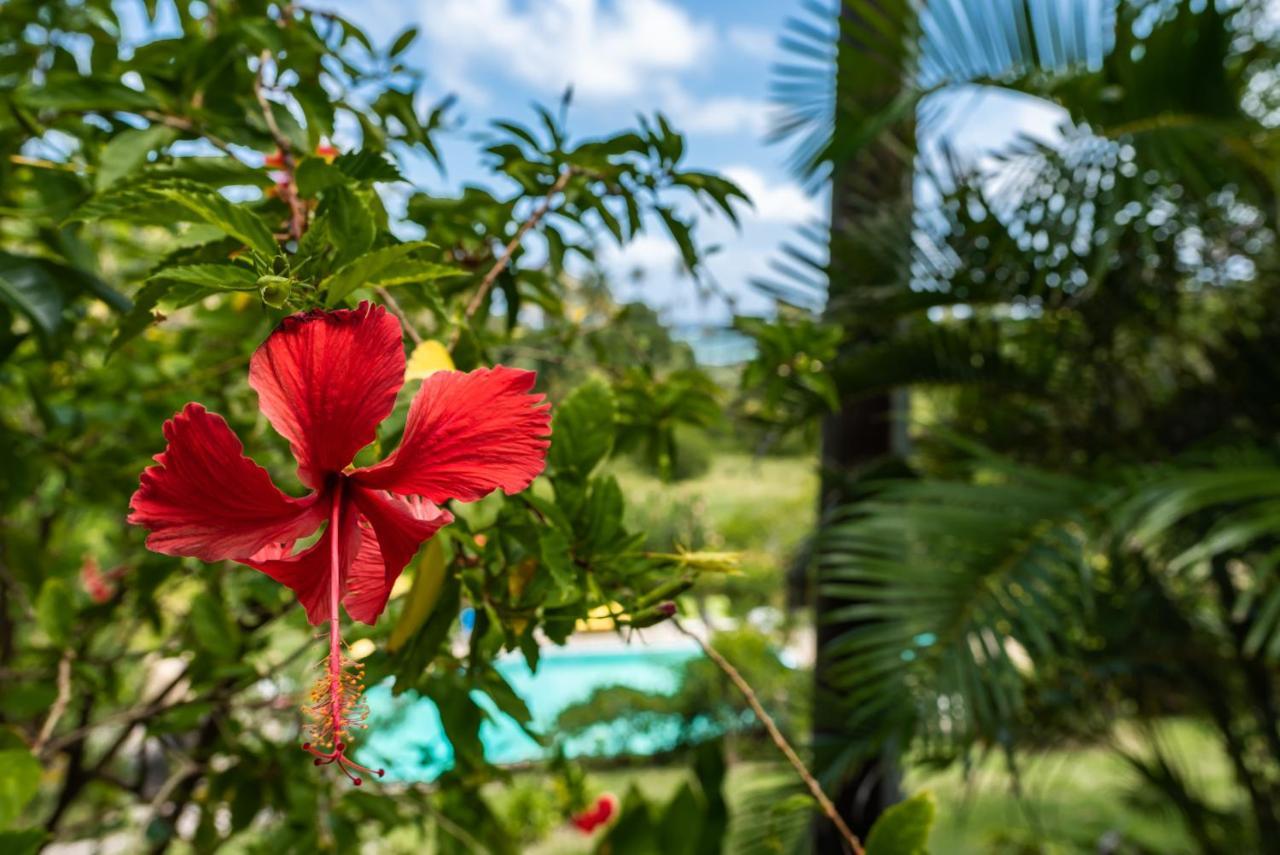 Firefly Estate Bequia 호텔 Crescent Beach 외부 사진