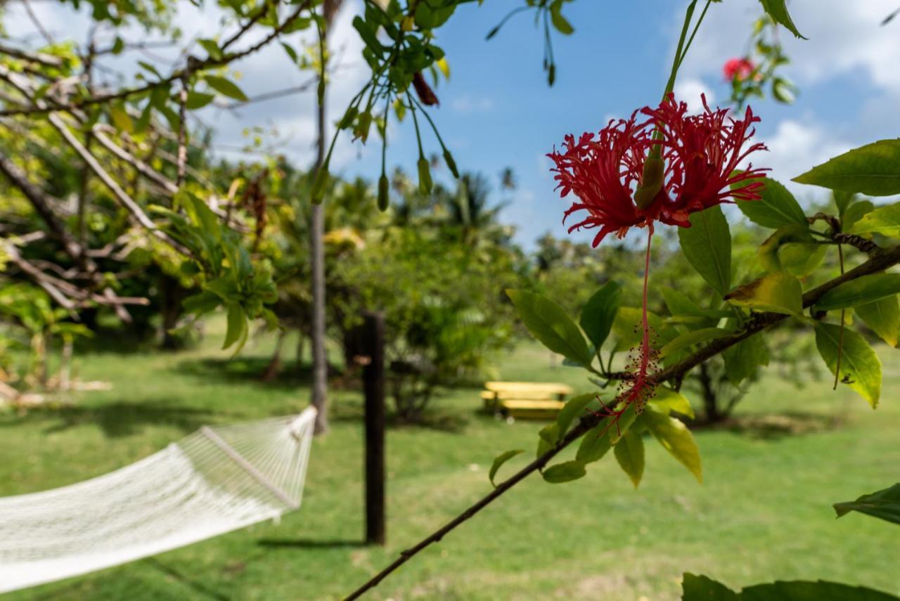 Firefly Estate Bequia 호텔 Crescent Beach 외부 사진