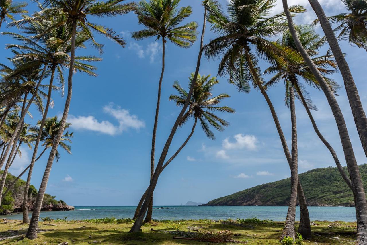 Firefly Estate Bequia 호텔 Crescent Beach 외부 사진